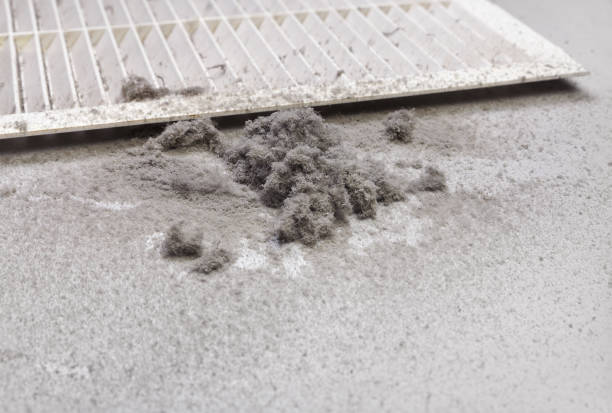 Best Affordable HVAC Duct Cleaning  in Ingalls Park, IL